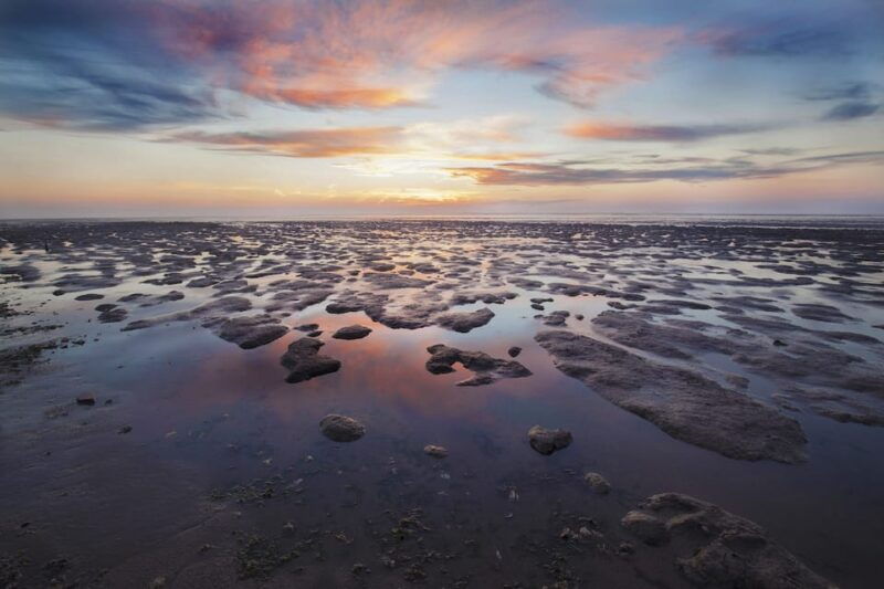 pieterburen-wadden-sea-mudflats-guided-walking-tour
