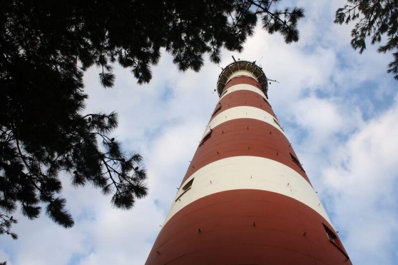 pieterburen-wadden-sea-mudflats-guided-walking-tour