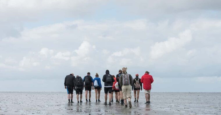 pieterburen-wadden-sea-mudflats-guided-walking-tour