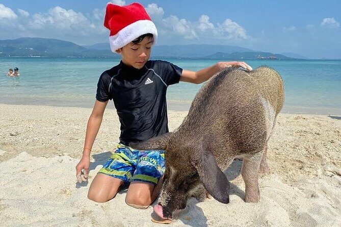 Pig Island ,Snorkeling, Private Long Tail Boat (Local Thai Experience) - The Itinerary Breakdown: What to Expect