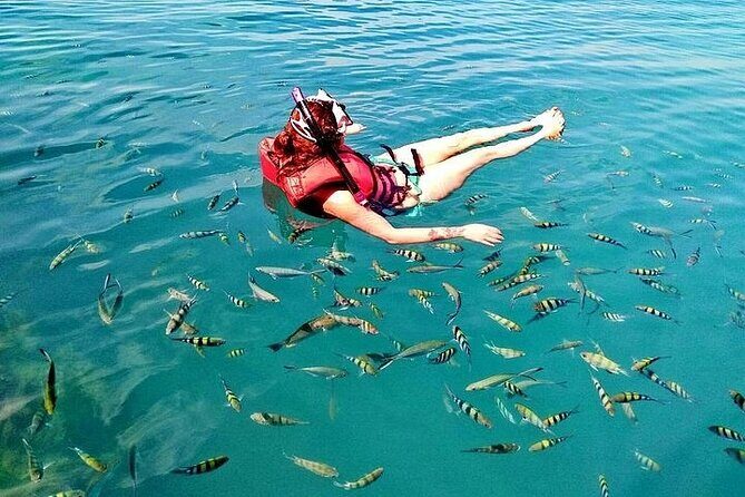 Pig Island ,Snorkeling, Private Long Tail Boat (Local Thai Experience) - Frequently Asked Questions