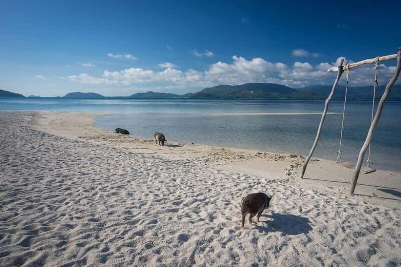 Pig Island(Koh Mudsum) and Koh Tan Half Day Snorkeling Tour - What the Tour Offers: A Breakdown of the Experience