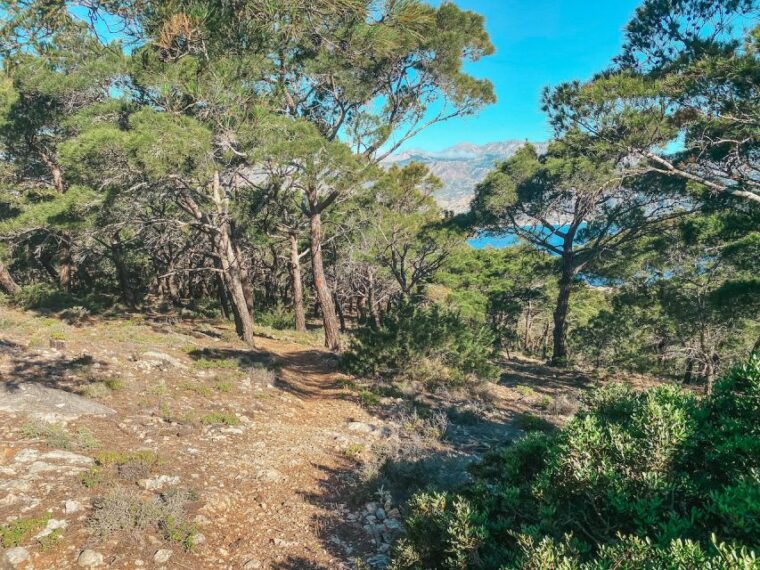 pigadia-agia-kyriaki-guided-hike-with-coffee-tea-and-raki