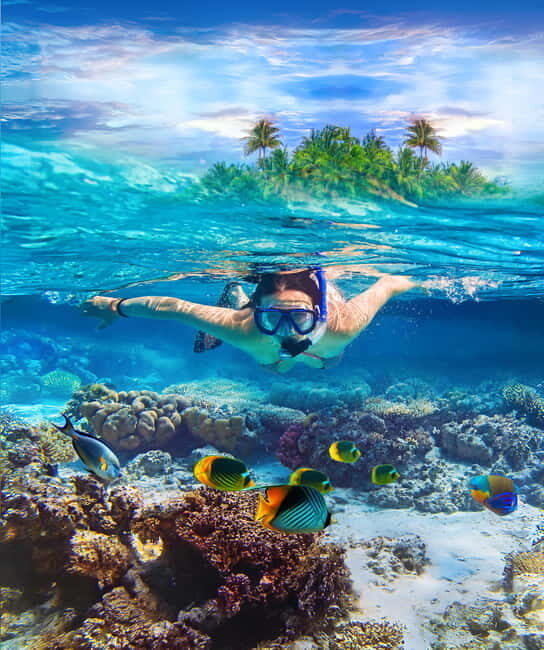 Pigeon Island Snorkeling Tour from Uppuveli Beach - Introduction