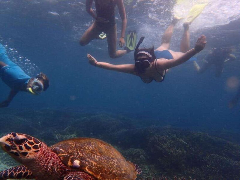 Pigeon Island Snorkeling Tour from Uppuveli Beach - What Sets This Tour Apart