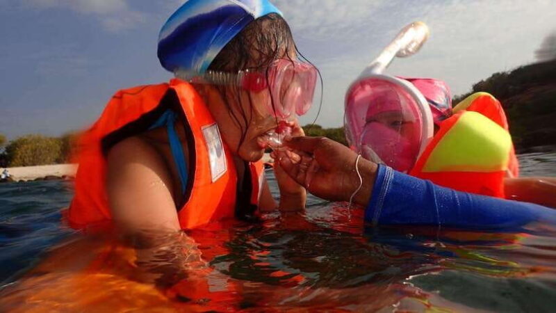Pigeon Island Snorkeling Tour from Uppuveli Beach - The Itinerary in Detail