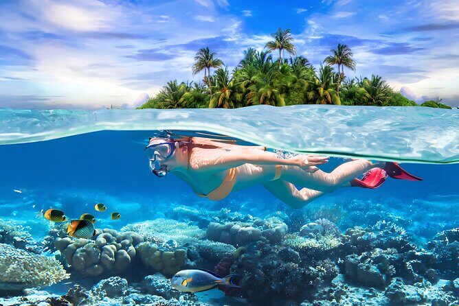 Pigeon Island Snorkeling Tour From Uppuveli Beach - Key Points