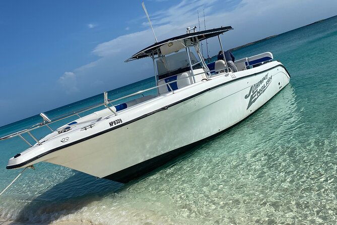 pigs-beach-green-turtle-cay-rose-island-private-tour