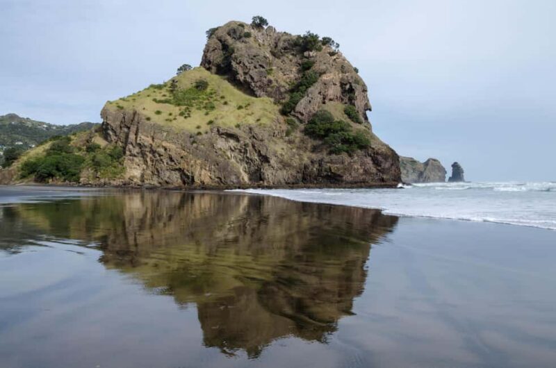 Piha Beach & Wilderness Private Tour: Auckland Half Day Trip - Key Points