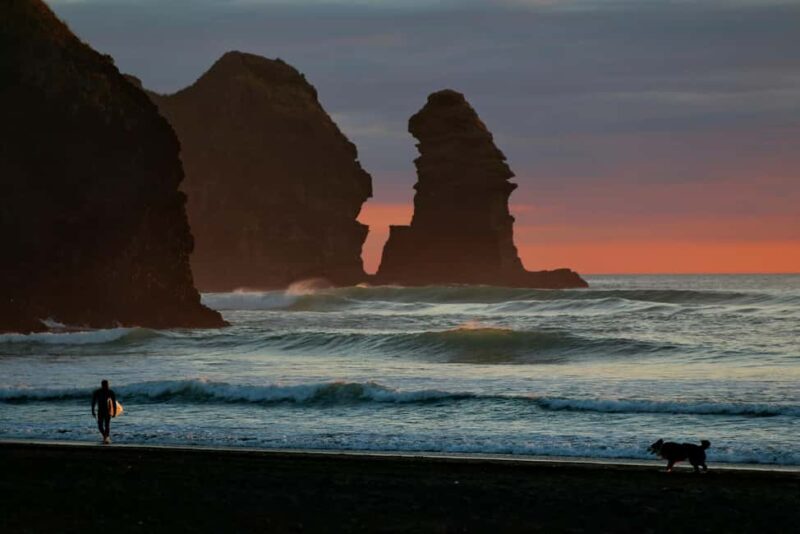 Piha Beach & Wilderness Private Tour: Auckland Half Day Trip - Who Should Book This Tour?