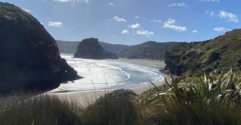 Piha & Karekare - Out of Auckland Private Tour - Key Points  