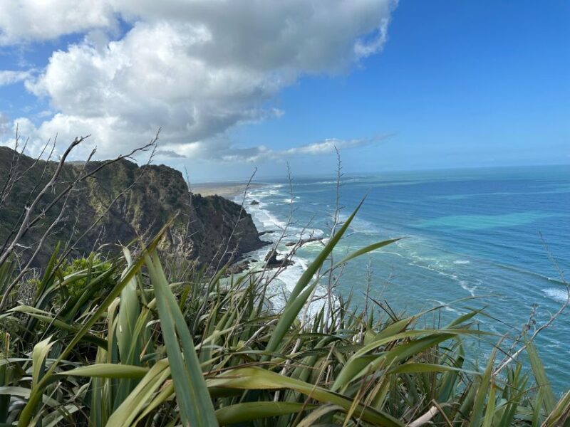 Piha & Karekare - Out of Auckland Private Tour - Who Would Love This Tour?  