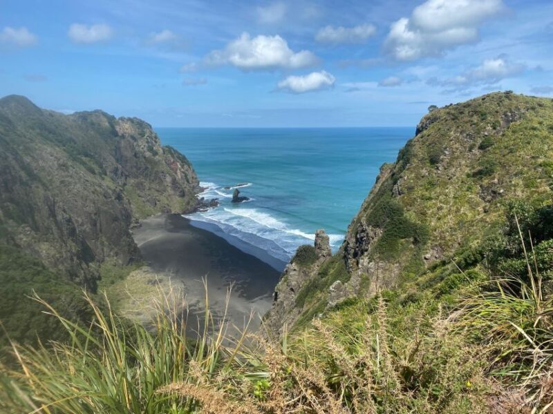 Piha & Karekare - Out of Auckland Private Tour - FAQ  