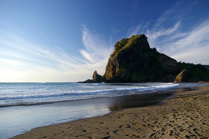 Piha Waitakere Rainforest Wine Tour from Auckland - Final thoughts: Who is this tour best suited for?