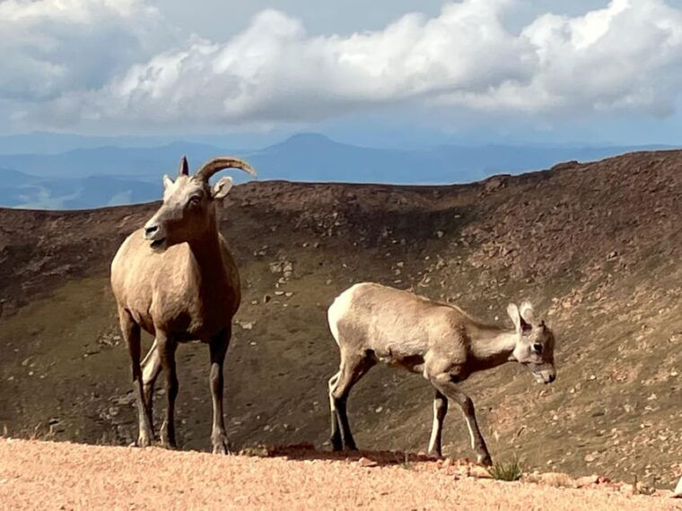 pikes-peak-tour