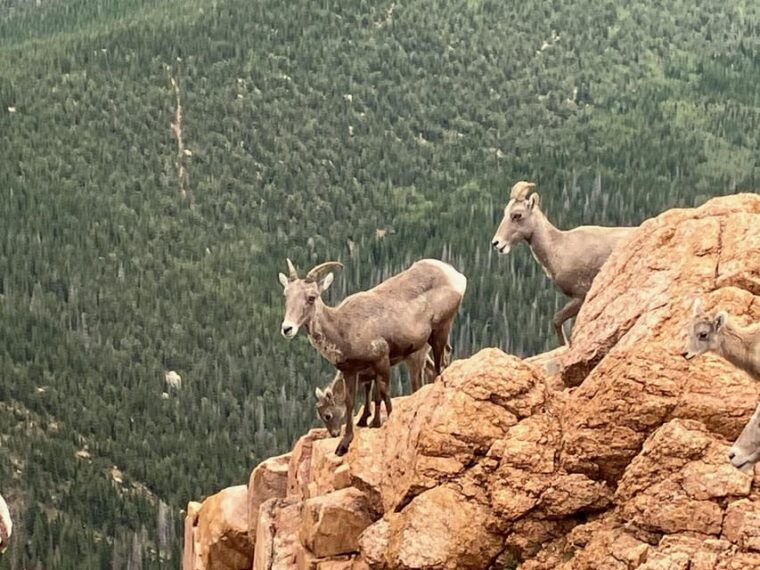 pikes-peak-tour