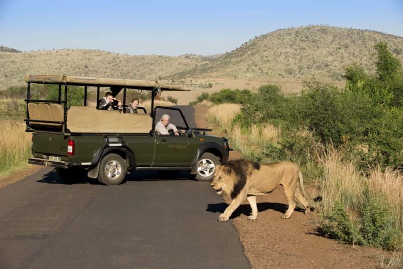 Pilanesberg Big 5 Game Safari: TRANSFER & ENTRANCE INCLUDED - What to Expect from the Tour