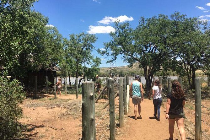 Pilanesberg camping Safari from Johannesburg - The Sum Up: Why This Safari Might Be Your Next Adventure