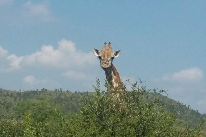 Pilanesberg camping Safari from Johannesburg - FAQ