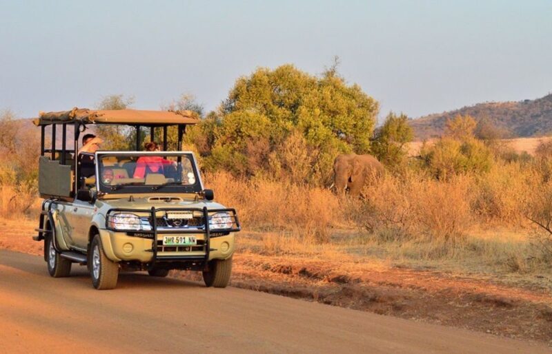 Pilanesberg Full-Day Shared Safari with Sun City Visit - Key Points