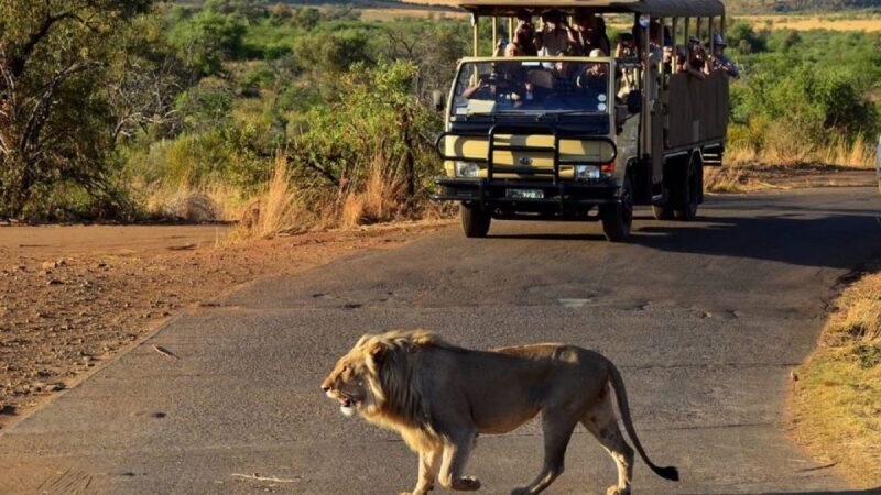 Pilanesberg Full-Day Shared Safari with Sun City Visit - Practical Tips for Future Travelers