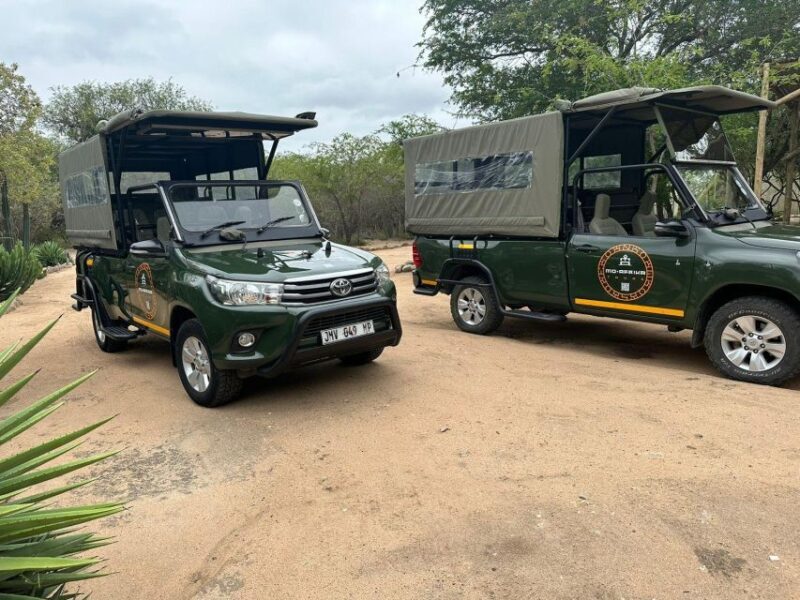 Pilanesberg Morning or Afternoon 3 Hour Game Drive - Key Points  