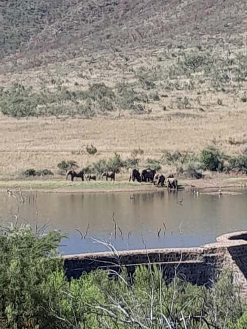 Pilanesberg National Park: 2 Day, 1 night Guided Safari - Key Points