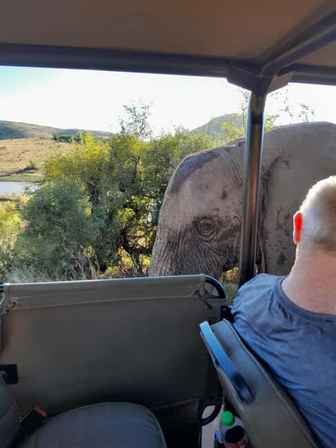 Pilanesberg National Park: 2 Day, 1 night Guided Safari - An Overview of the Itinerary