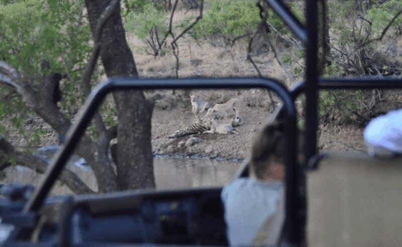 Pilanesberg National Park: 6H Game Drive with Lunch - The Final Word