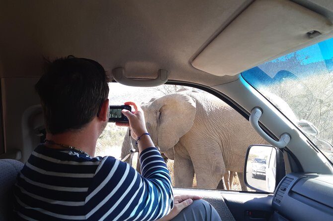 Pilanesberg National Park Day Tour from Pretoria, every SATURDAY - Game drives and wildlife encounters