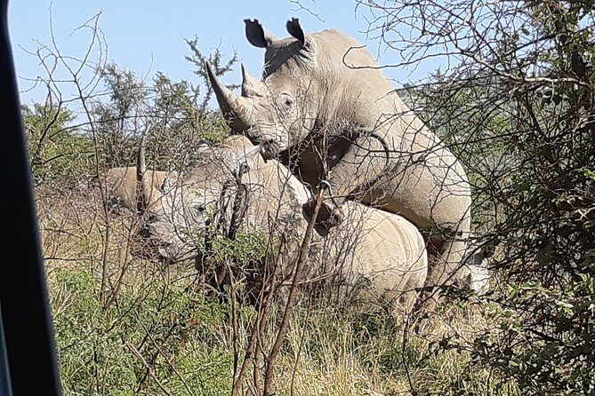 Pilanesberg National Park Day Tour from Pretoria, every SATURDAY - Return journey