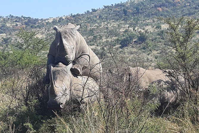 Pilanesberg National Park Full-Day Tour from Johannesburg - FAQ