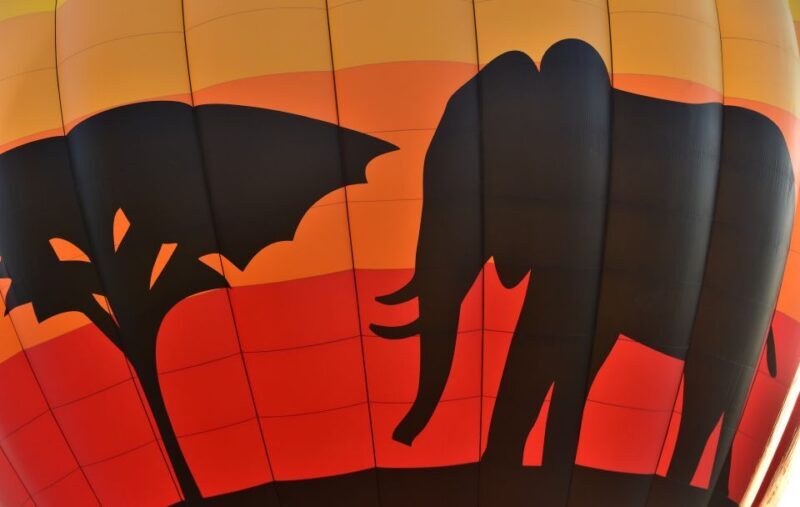 Pilanesberg National Park/Sun City Hot Air Balloon Safari - Who Would Love This Experience?