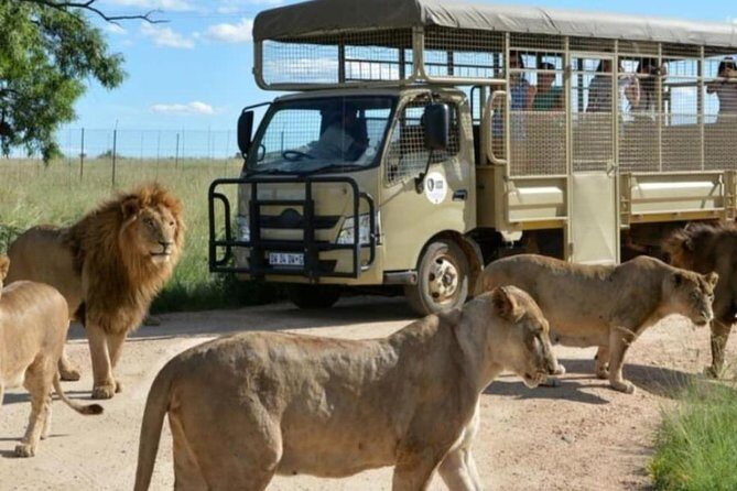Pilanesberg Nature Reserve & Safari Park Lion Private - Practical Tips for Booking & Participation