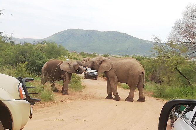 Pilanesberg Safari 3 Days 4 Star Private - FAQ