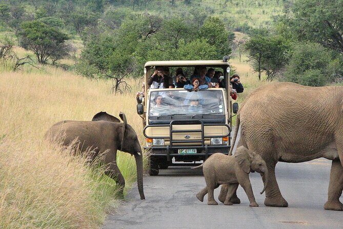 Pilanesberg Safari Open vehicle game Full Day - The Itinerary Breakdown