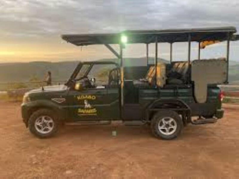 pilanesberg-sunrise-morning-game-drive