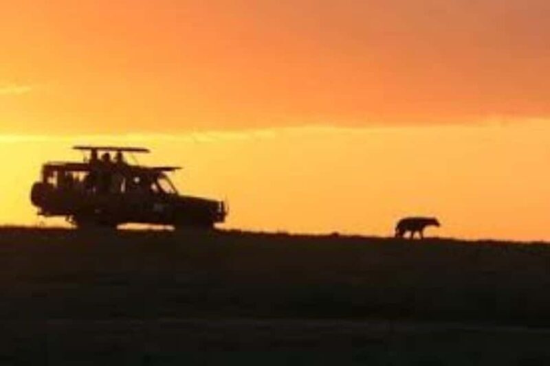 Pilanesberg : Sunset Afternoon Drive - Key Points