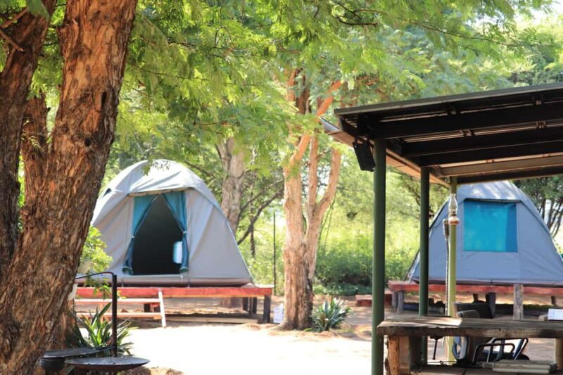 Pilanesberg: Two-Day Camping Adventure from Johannesburg - Key Points