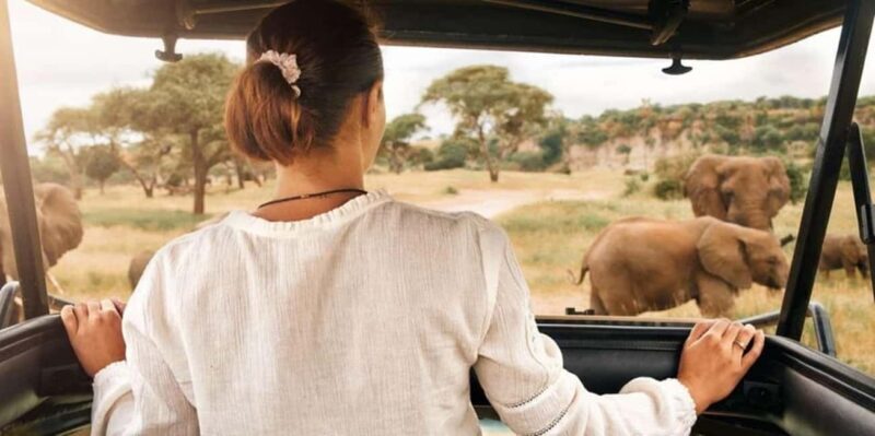 Pilanesberg: Two-Day Camping Adventure from Johannesburg - The Tented Safari Camp Experience