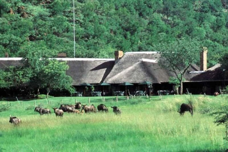 Pilanesburg National Park Tour - An Honest Look at the Pilanesburg Safari Experience