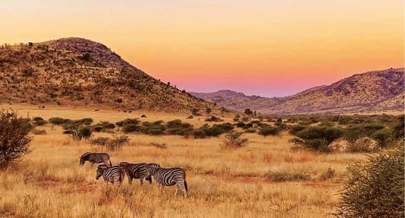 Pilanesburg National Park Tour - The Value of This Tour
