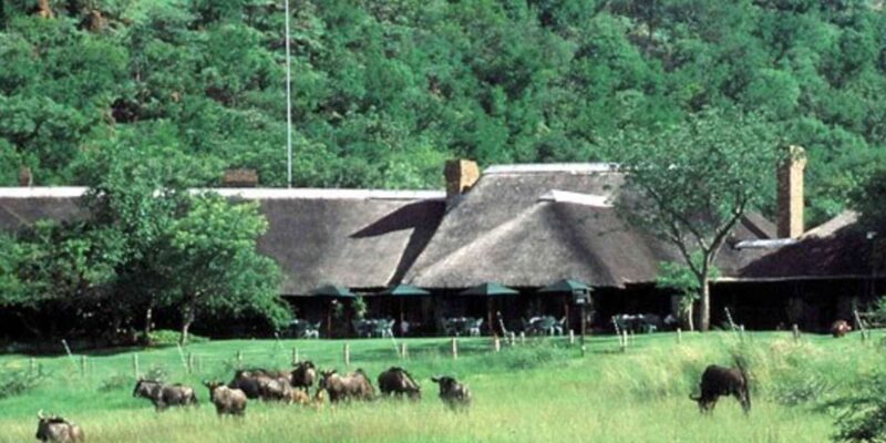 Pilanesburg National Park Tour - The Sum Up