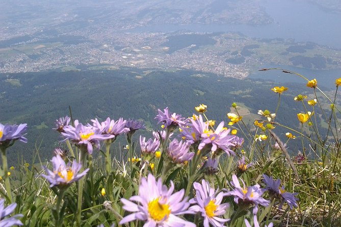pilatus-panorama-exclusive-private-golden-round-trip-from-luzern