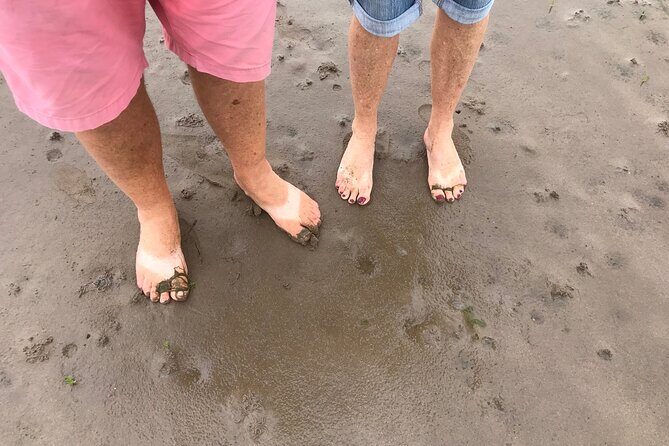 Pilgrims' Path walk across the sands to Holy Island - Pilgrims Path walk across the sands to Holy Island: An Authentic Coastal Journey