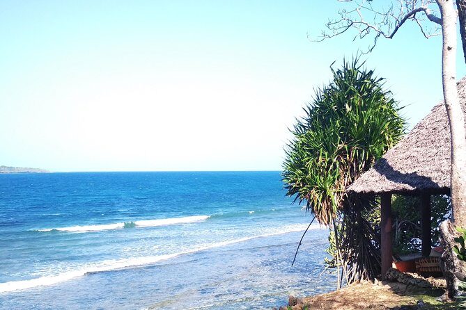 PILLI PIPA DHOW, the genuine product, snorkeling tour to Kisite Marine Park - Practicalities & Tips
