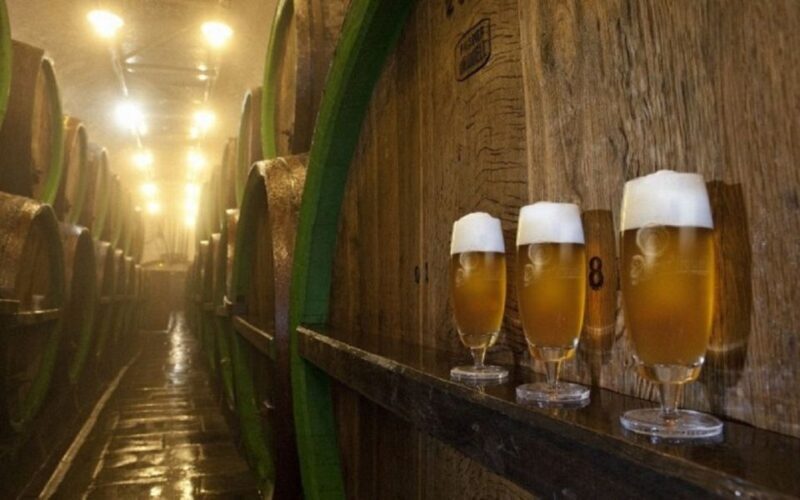 Pilsner Brewery & Nizbor Glass Factory Combination Tour - The Charm of Nizbor Village