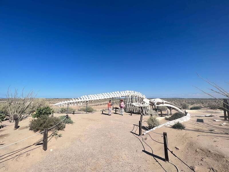 Pinacate: 3-day tour to the craters and surrounding towns - Discovering the Natural and Cultural Wonders of Baja California
