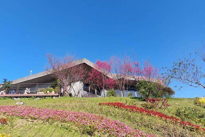 Pinglin Tea Culture & Maokong Day Tour from Taipei - The Sum Up: Is It Worth It?