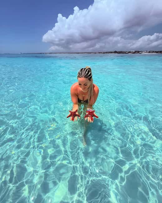 Pingwe: Starfish, Blue Lagoon, Snorkeling & The Rock Tour - What the Tour Includes and Excludes